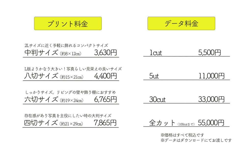 ST社のプリント料金とデータ料金一覧。プリント料金は中判サイズ3,630円、八切サイズ4,400円、六切サイズ6,765円、四切サイズ7,865円。データ料金は1カット5,500円、5カット11,000円、30カット33,000円、全カット(100cutまで)55,000円。すべて税込、データはダウンロード渡し
